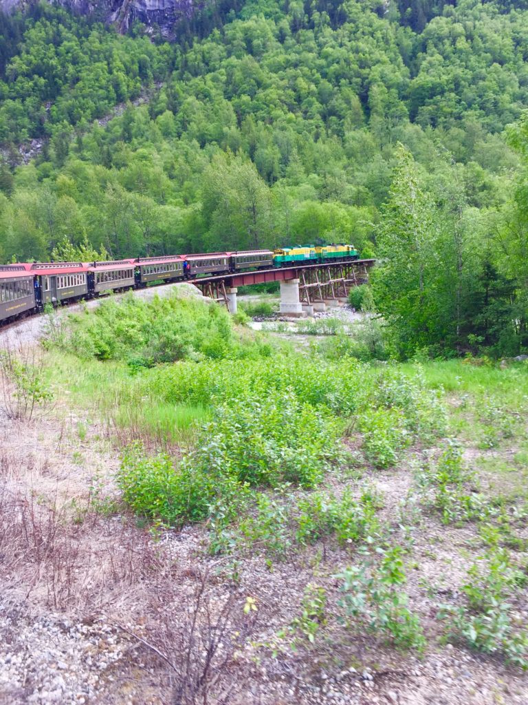 Disney Cruise Alaska