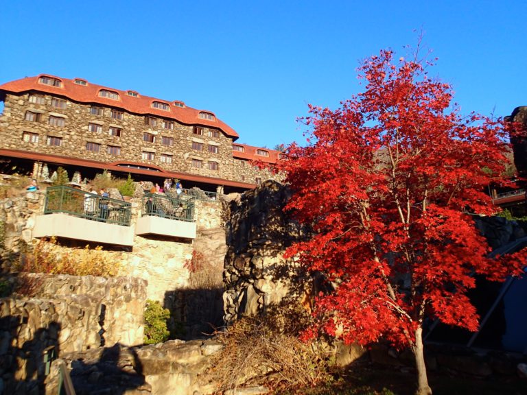 Thanksgiving in Asheville, NC The Grove Park Inn • Disney Cruise Mom Blog