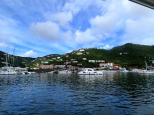 Tortola St. Thomas cruise excursion island roots