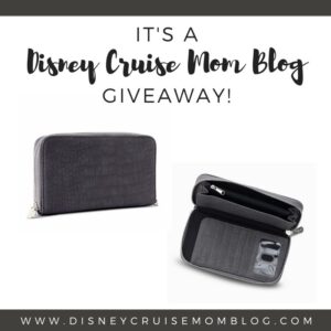 Plastic Straws and Lids • Disney Cruise Mom Blog